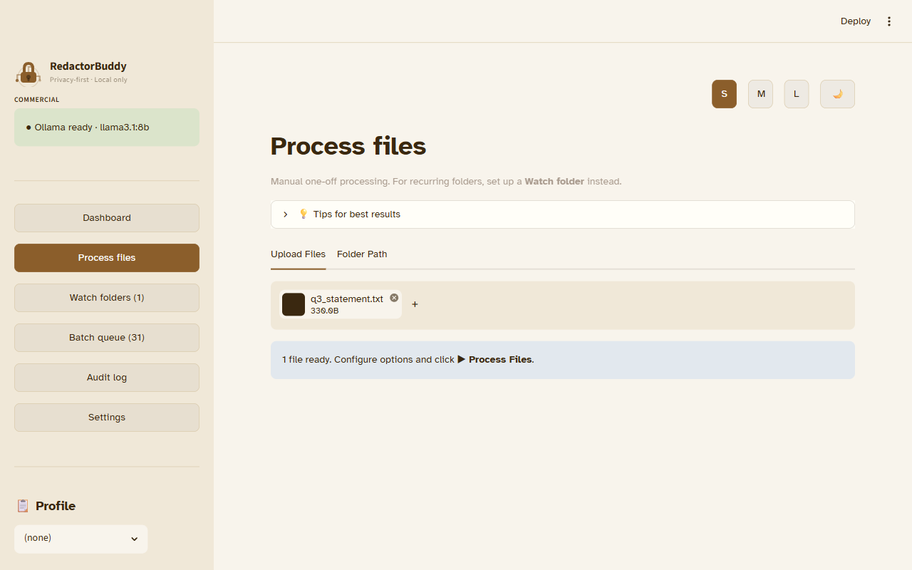 Process files screen with q3_statement.txt loaded — shows file name, size, and the Process Files button