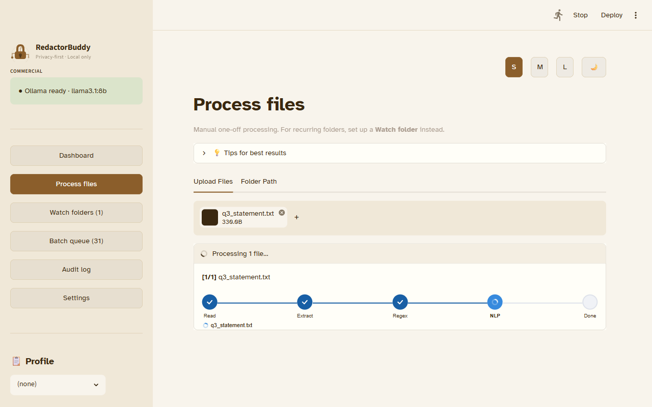 Three-pass detection pipeline running — Read, Extract, and Regex complete; NLP detection in progress
